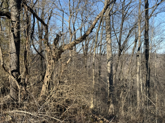 Listing Image 19