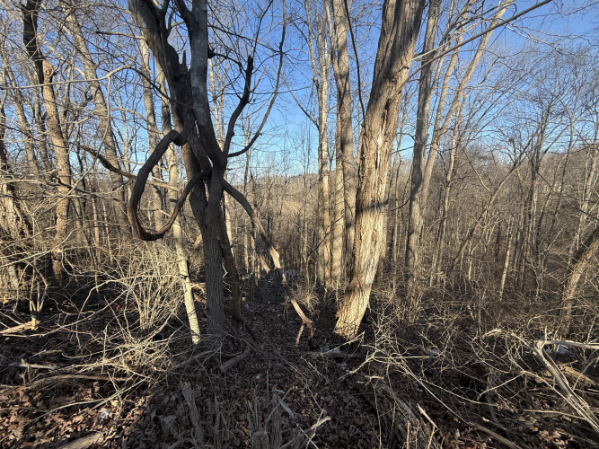 Listing Image 23