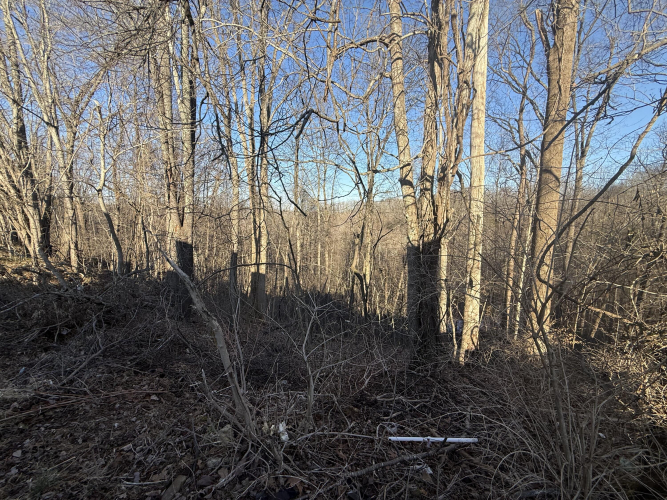 Listing Image 25