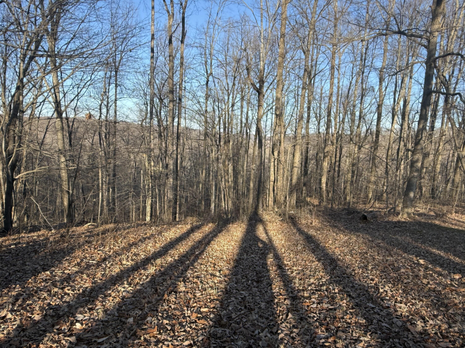 Listing Image 31