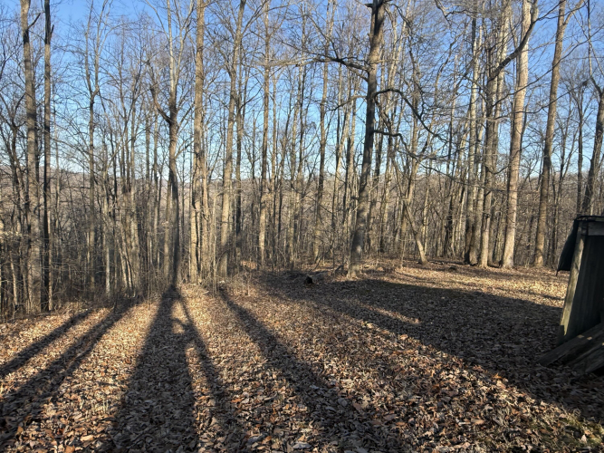 Listing Image 32