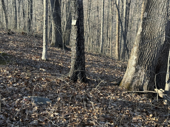 Listing Image 33