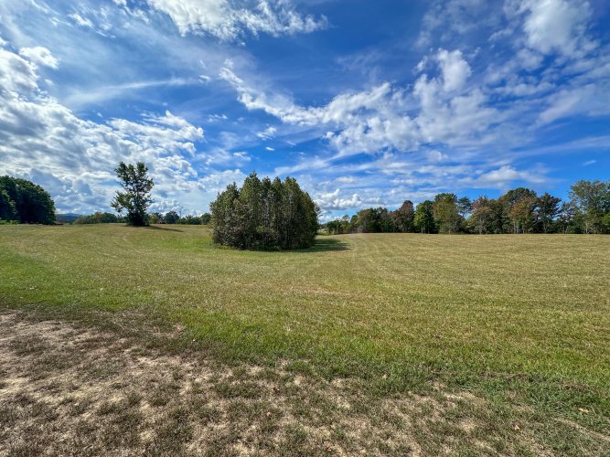 Listing Image 66