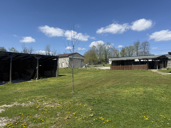 Listing Image 75