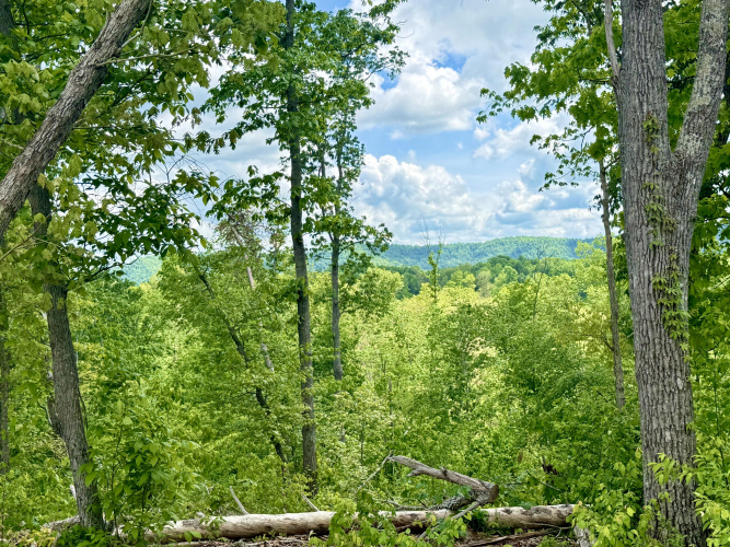Listing Image 17