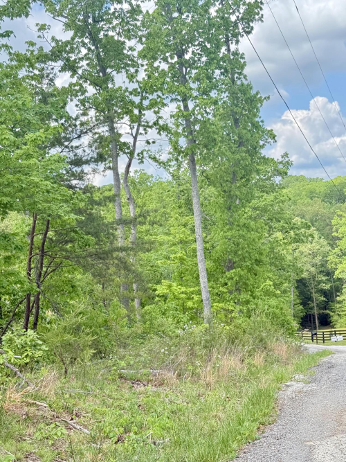 Listing Image 21
