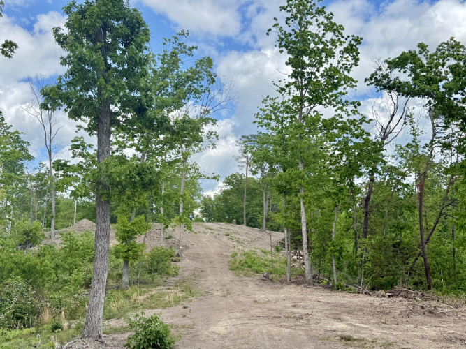 Listing Image 31