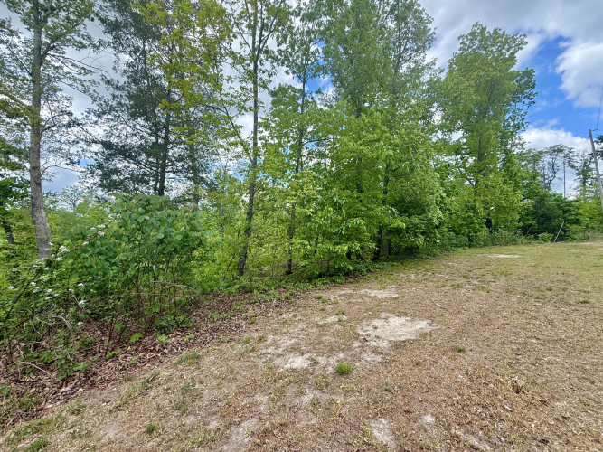 Listing Image 34