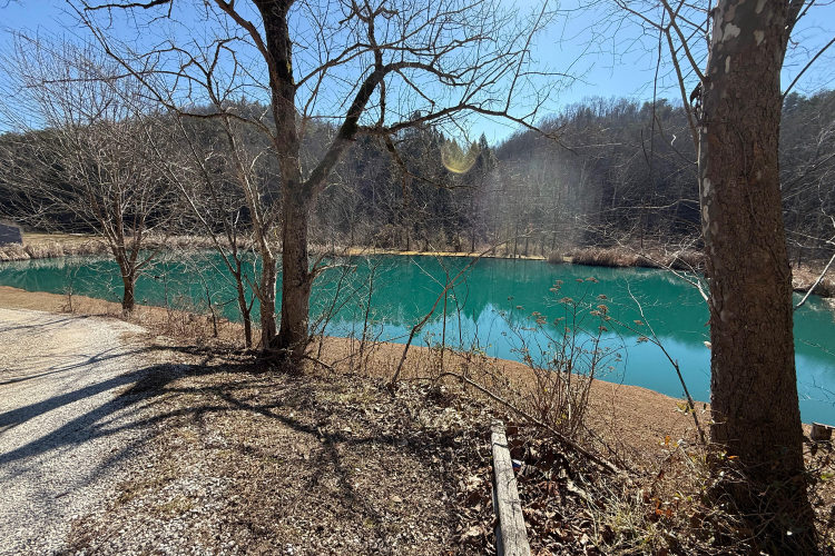 Listing Image 11