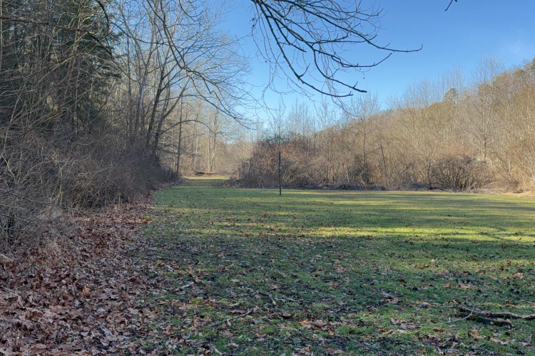Listing Image 14