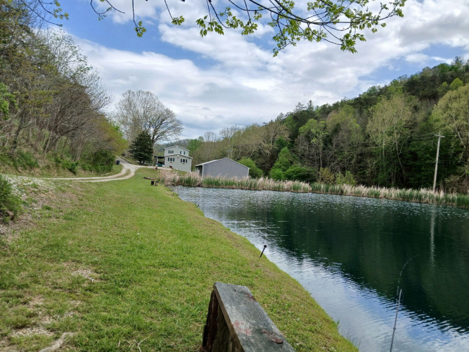 Listing Image 18