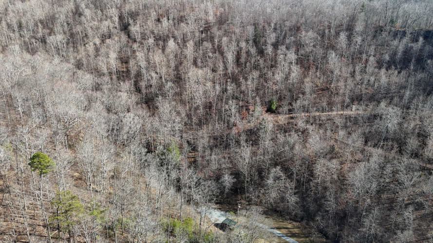 Listing Image 69
