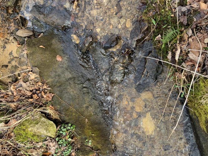 Listing Image 75