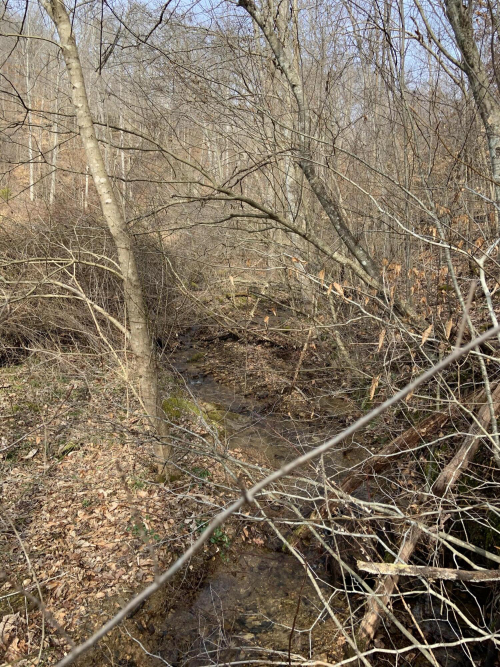 Listing Image 76