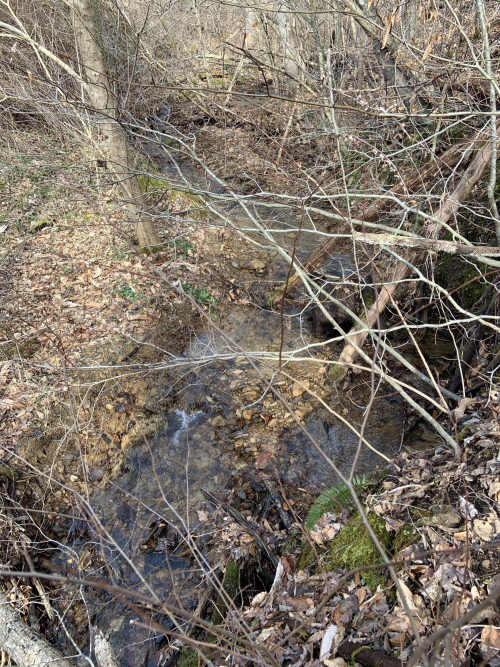 Listing Image 77