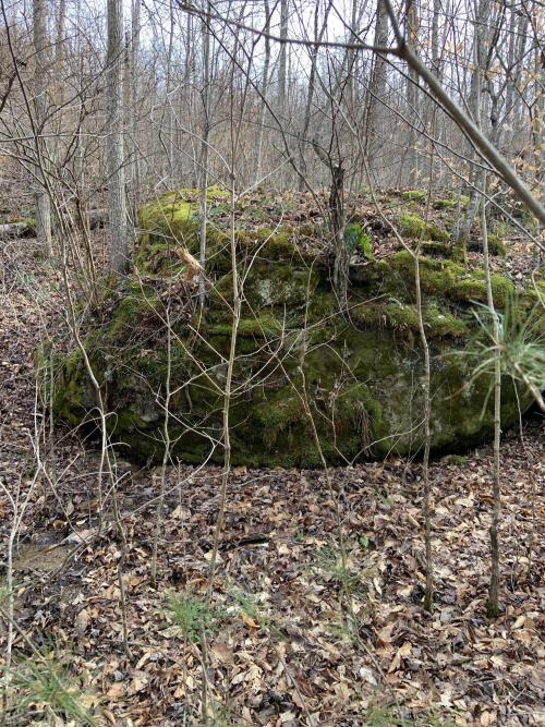 Listing Image 80