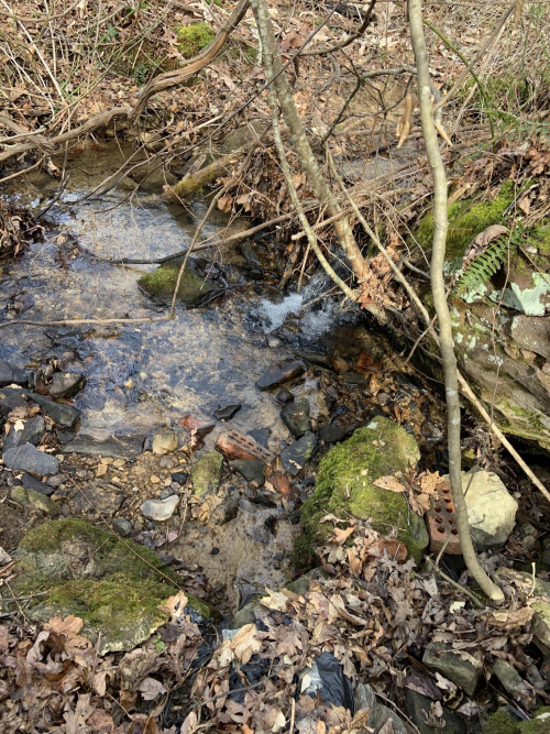 Listing Image 84