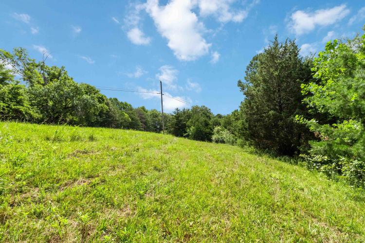 Listing Image 24