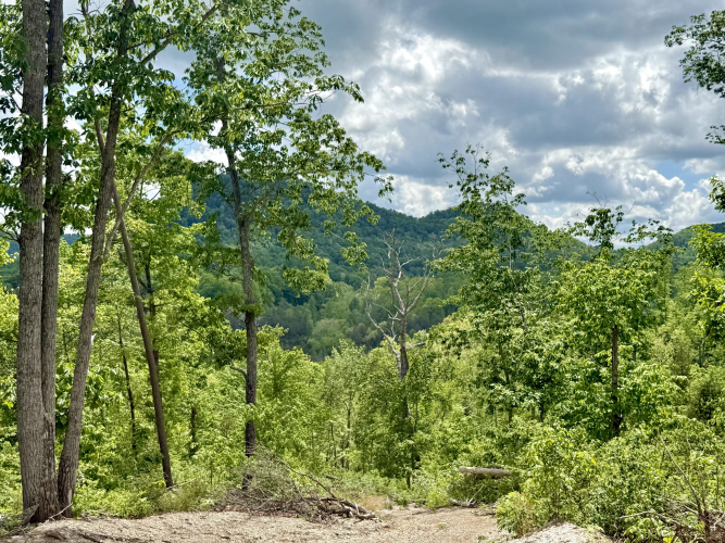 Listing Image 23
