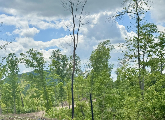 Listing Image 33