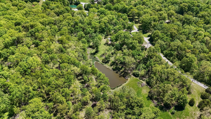 Listing Image 65
