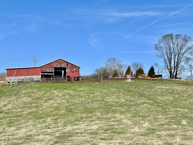 Listing Image 26