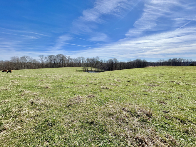 Listing Image 27