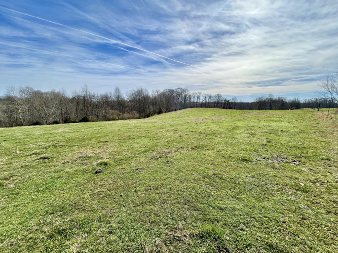 Listing Image 29