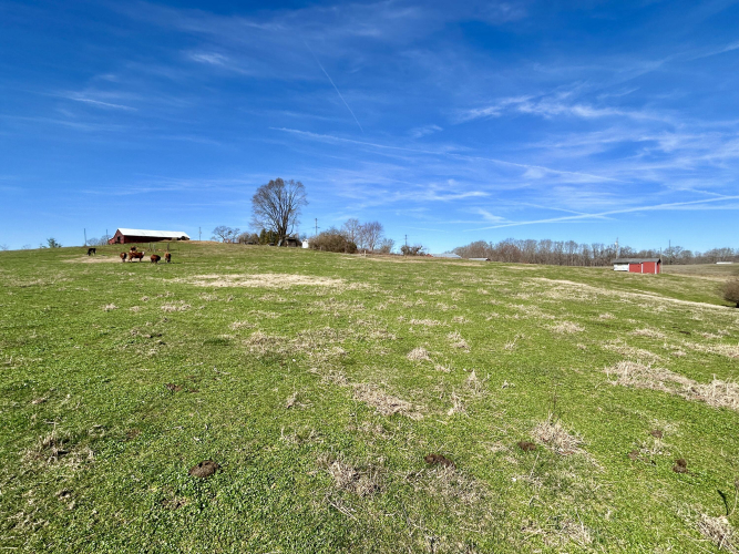 Listing Image 31
