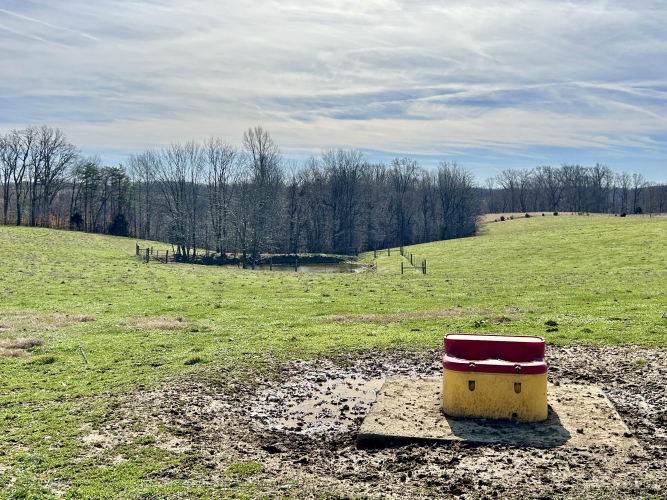 Listing Image 32