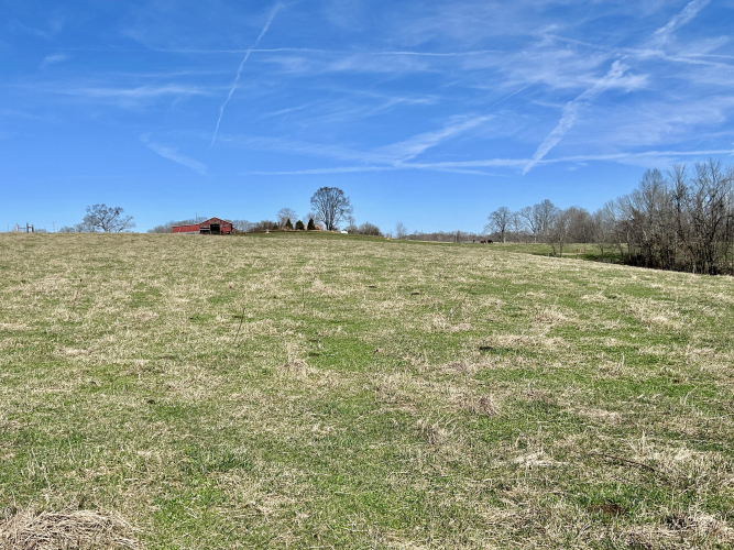 Listing Image 34