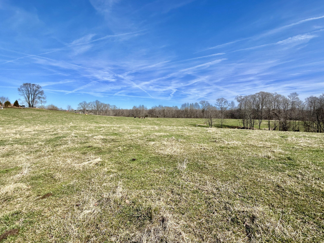 Listing Image 35