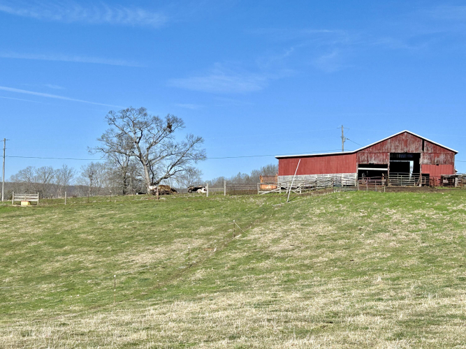 Listing Image 42