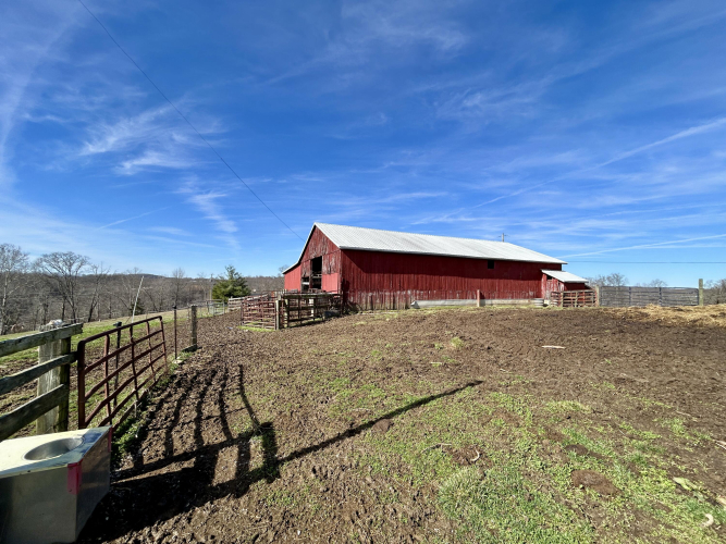 Listing Image 43