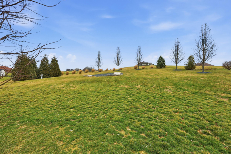 Listing Image 65