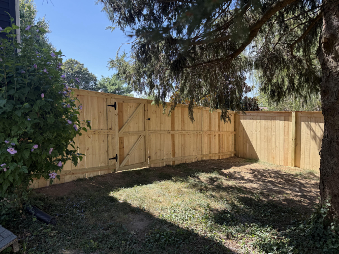 Listing Image 73