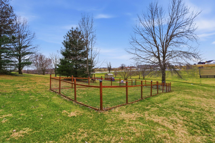 Listing Image 91