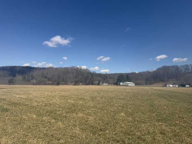 Listing Image 25