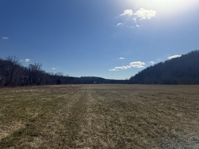 Listing Image 31