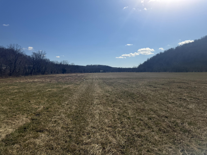Listing Image 33