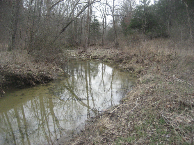 Listing Image 17
