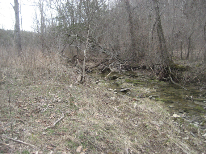 Listing Image 18