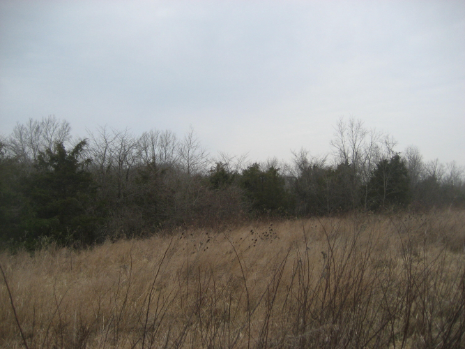 Listing Image 24