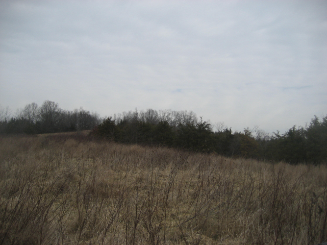 Listing Image 26