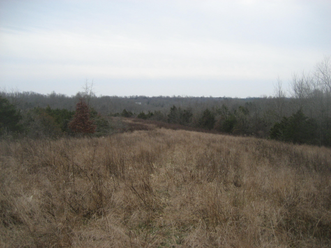 Listing Image 27