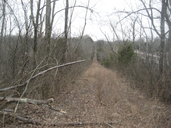 Listing Image 28