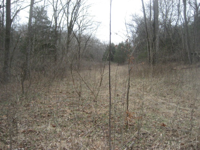 Listing Image 30