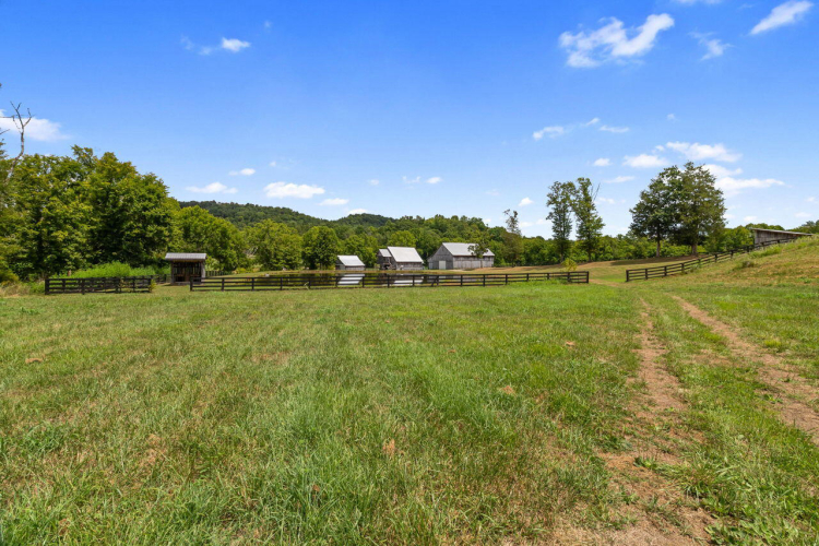 Listing Image 58