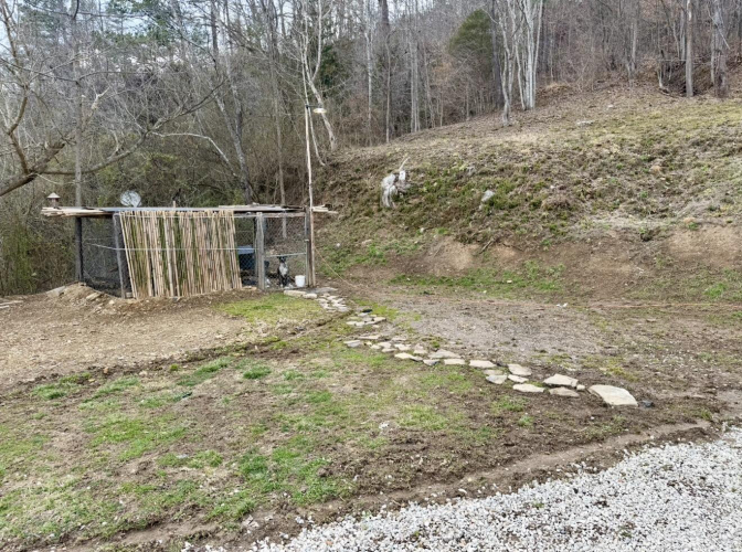 Listing Image 16