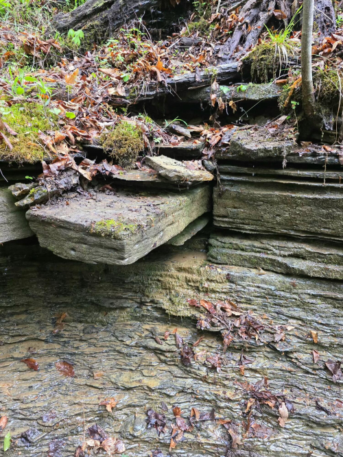 Listing Image 57